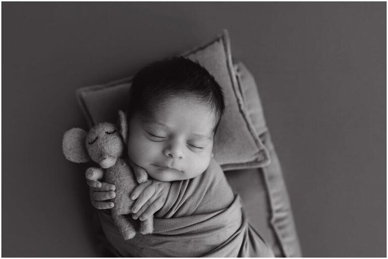 newborn photography nashville, newborn portrait studio near me, professional baby photos