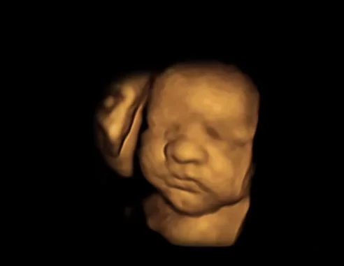 Home – Nashville 2D/3D/4D/5D Ultrasound + Photography Studio