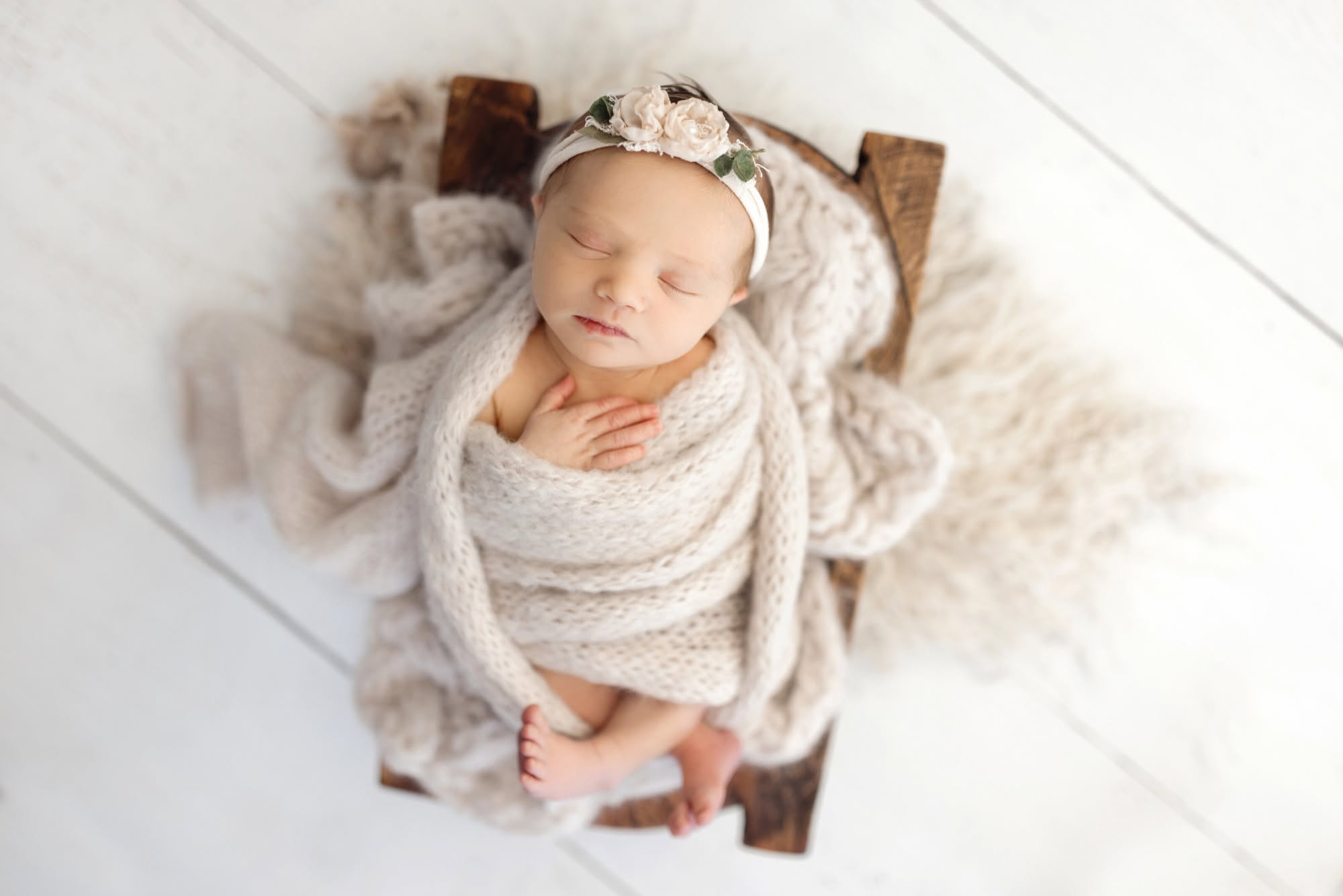 luxury newborn portraits Nashville